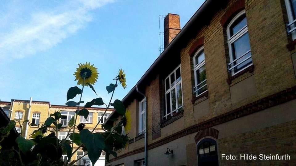 Klassmo Kulturcafe&Gaestehaus Mit Kulturwerkstatt Luckenwalde Dış mekan fotoğraf